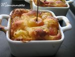 Cueillette_des_cerises_et_clafoutis_aux_Napol_on_022