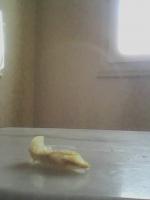 IMG_20180928_133827