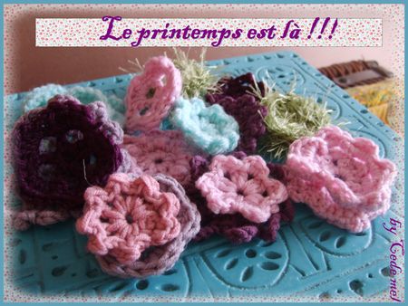 FLEURS_AU_CROCHETS