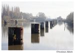 cnb_noordelijke_eiland_willebroek_2011_11_20__12