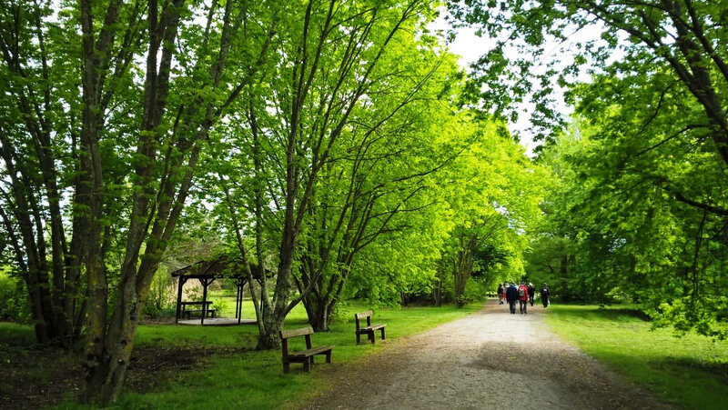 WP_20180503_15_21_30_Pro