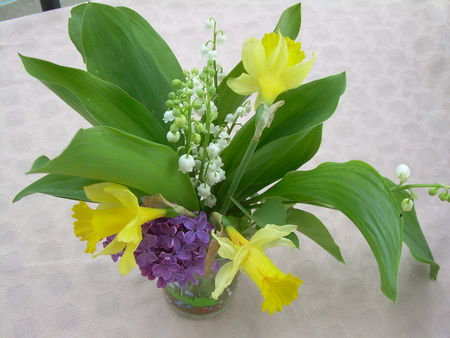 muguet papi