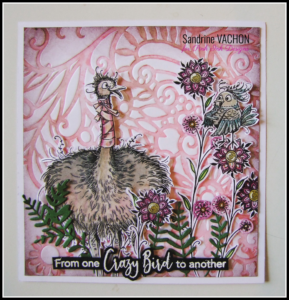 Carte CRAZY BIRDS et stencil ON THE VERGE Sandrine VACHON Pink  (1)