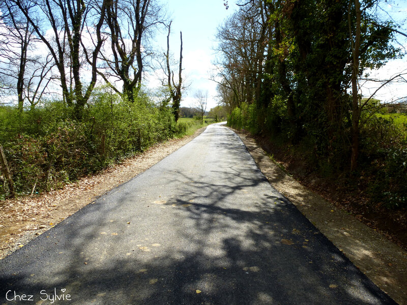 Chemin ânes au 19-04-07C