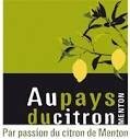 Résultat de recherche d'images pour "ca pays du citron logo"