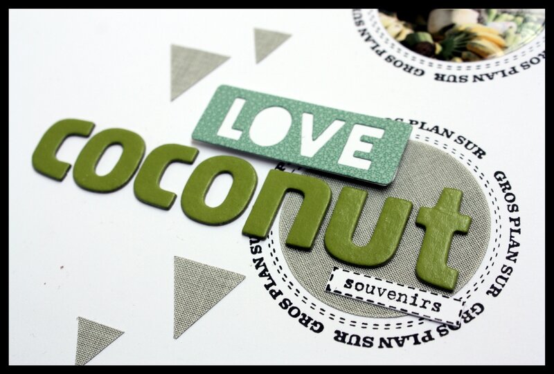 coconuts 1b