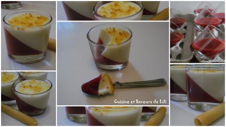 Pannacotta_chocolat_blanc_et_framboise