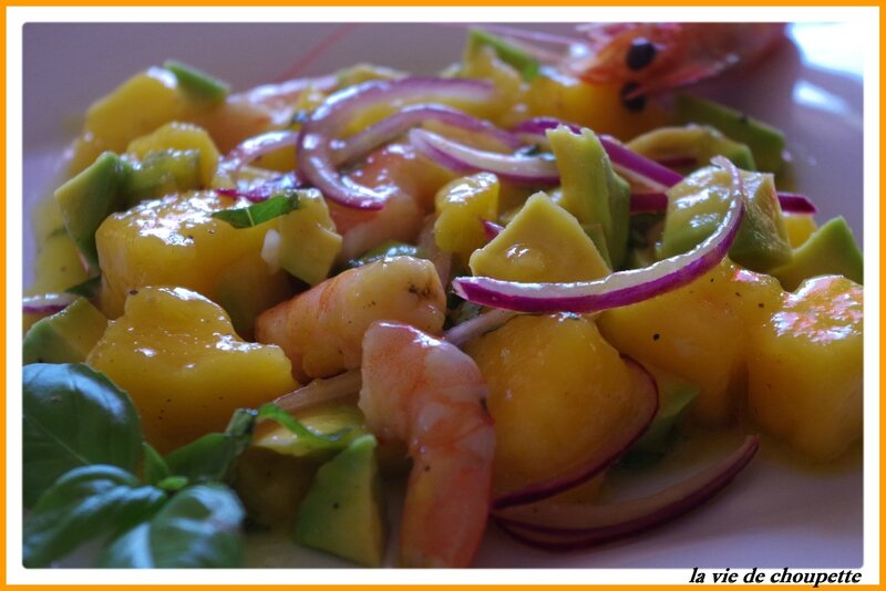 salade mangue, crevettes, avocat et basilic-101