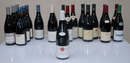 Vin_Bourgogne_NSG Philippe Gavignet