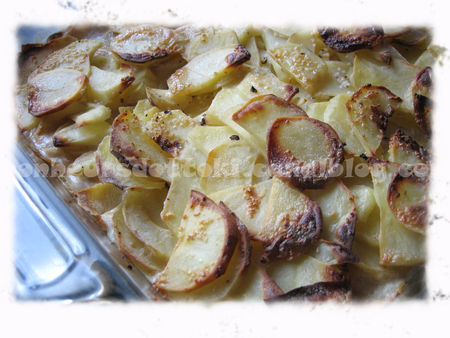 recettes plats Gratin de pommes