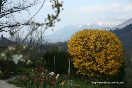 20100414_annecy_p_04