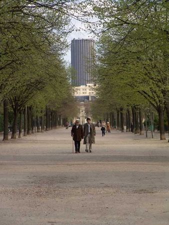 le_promeneur_du_champ_de_mars