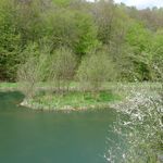 2013-05-0524