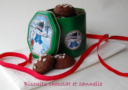 BISCUITS_CHOCO_CANNELLE_2