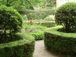 jardin_hotel_de_Ribbes7