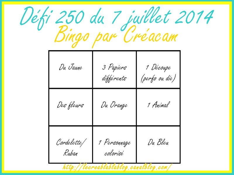 défi 250