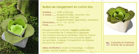 Bulbe_de_rangement