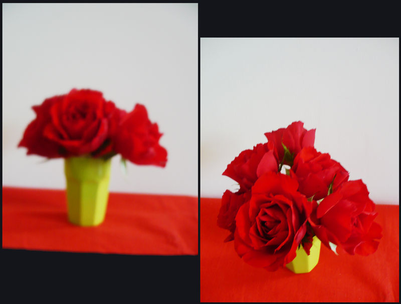 ROSES_ROUGES