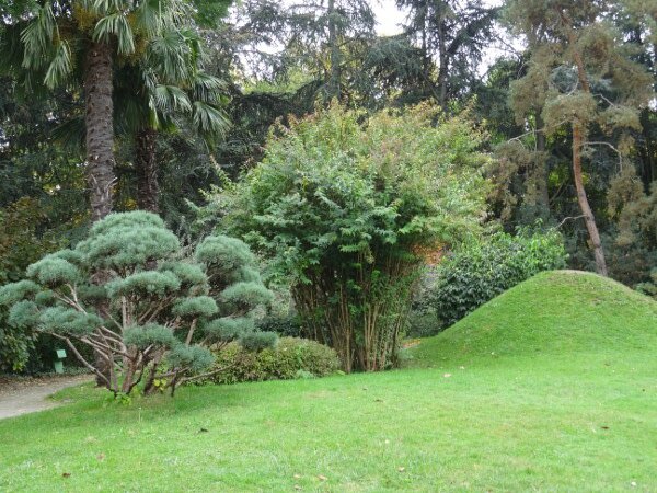 Jardin japonais2