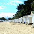 Bois de La Chaise, Noirmoutier-en-l'Ile: mes photos de vacances