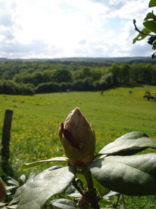 18_mai_2009_017