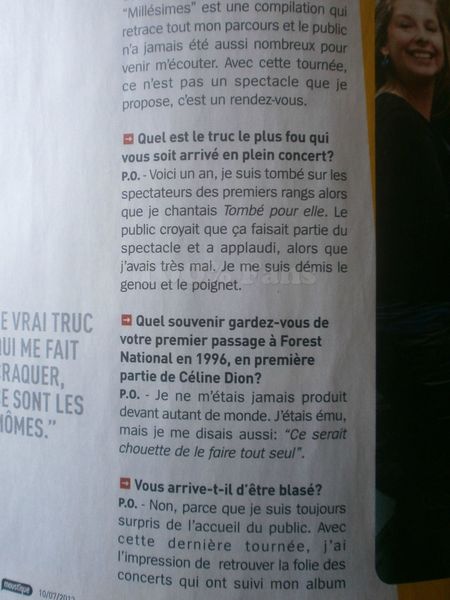 moustique11