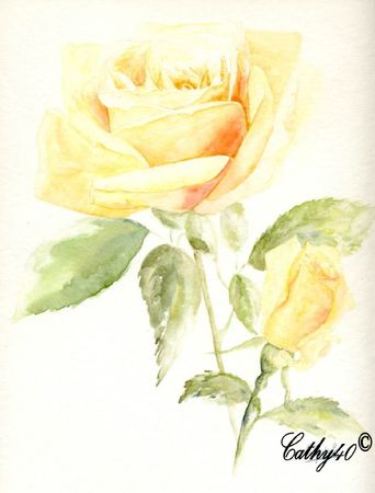 Rose jaune @