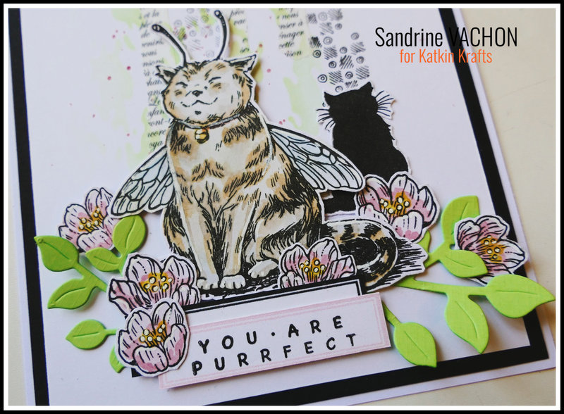 Sandrine VACHON Bumblebee Cat KK (5)