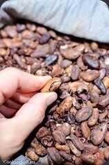 Chocolat-Primitif-2