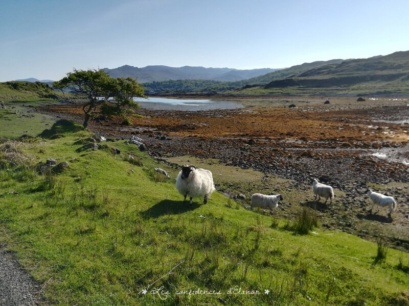 Arisaig (photo de L.)