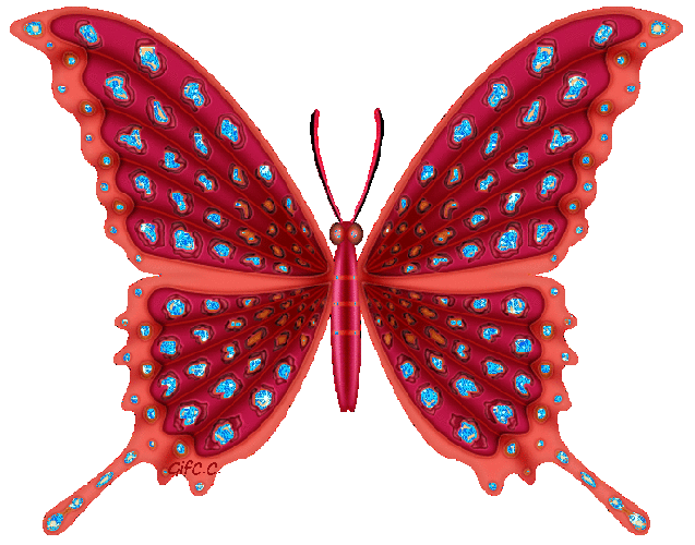 Papillon rouge et bleu ft