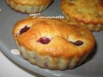 Tartelettes_aux_m_res_004