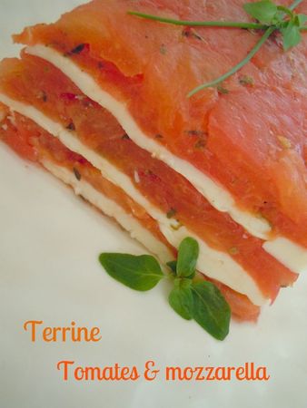 terrine tomates mozzarella (4)