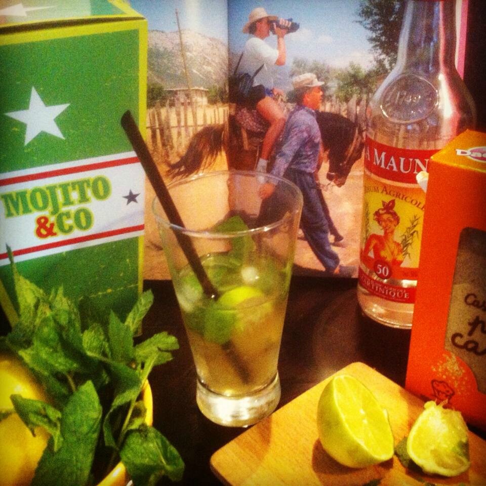 Villefranque, cado Mojito Cousin (64)