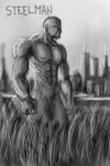 steelman1