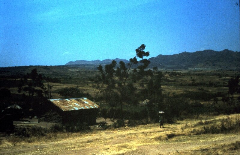 tanzanie 56