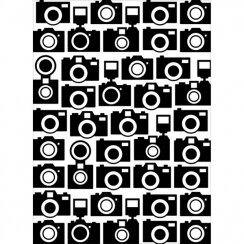 plaque-de-gaufrage-cameras[1]