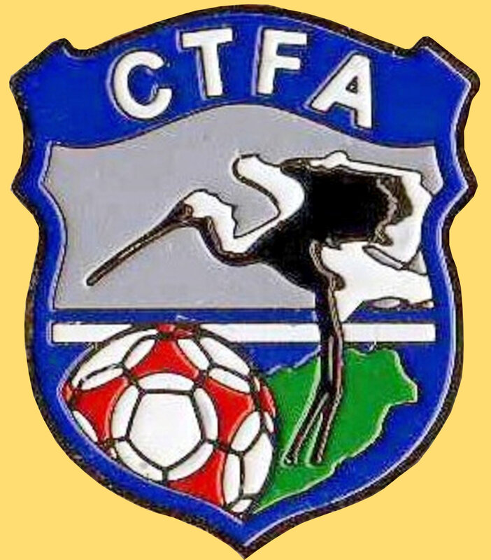 Pin's CTFA