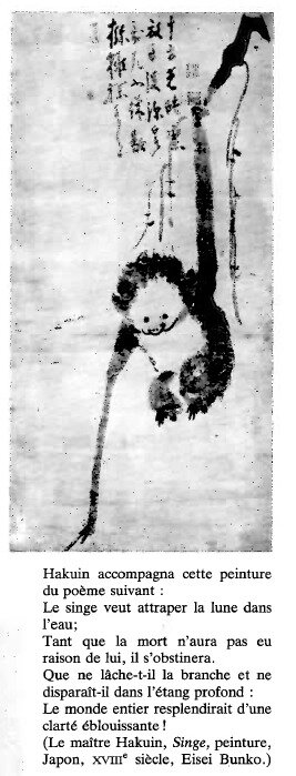 Singe, Hakuin