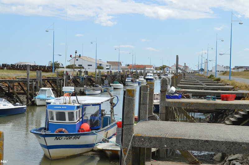 190729_Bouin_port_des_brochets