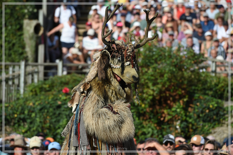 PUY_6334