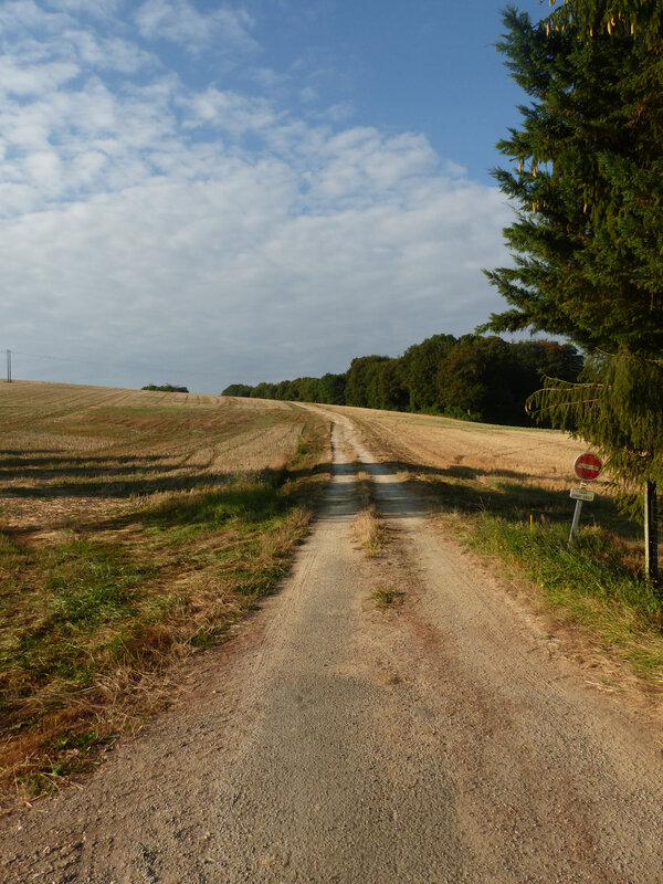 P1550443