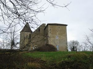 IMG_3207