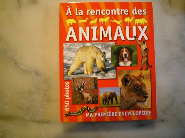 à la rencontre des animaux