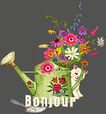 bonjour9