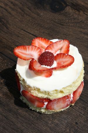 mini-fraisier