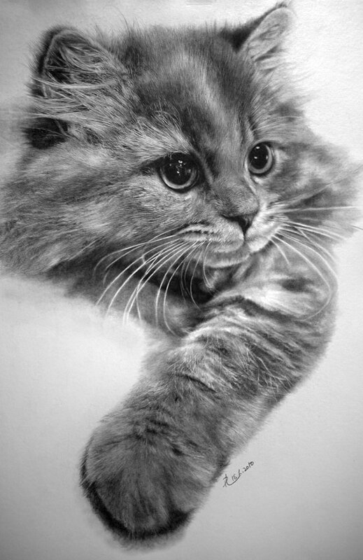 Paul Lung _pencil graphite realism drawing (4)