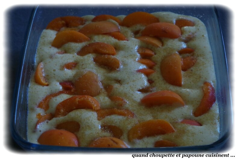 gâteau à l'abricot ww-610