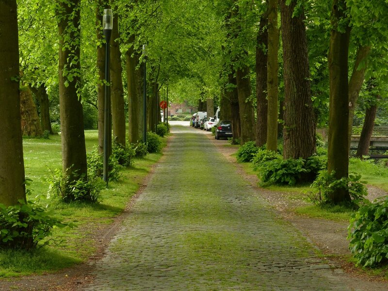 BRUGES ET KNOKKE 11 MAI 2016 (18)