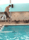 mec_piscine